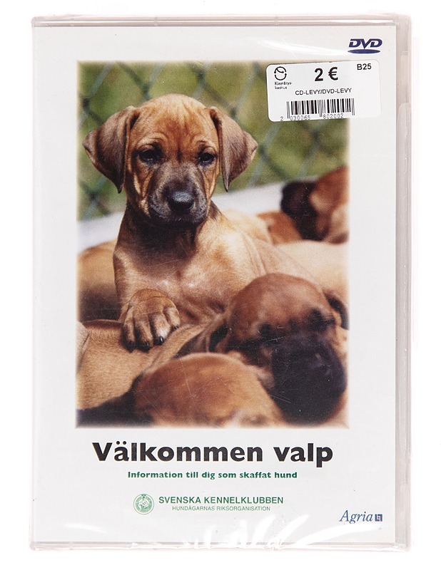 V=C3=A4lkommen valp: information till dig som skaffat hund - DVD - DVD-elokuvat - 10105175857 - 0