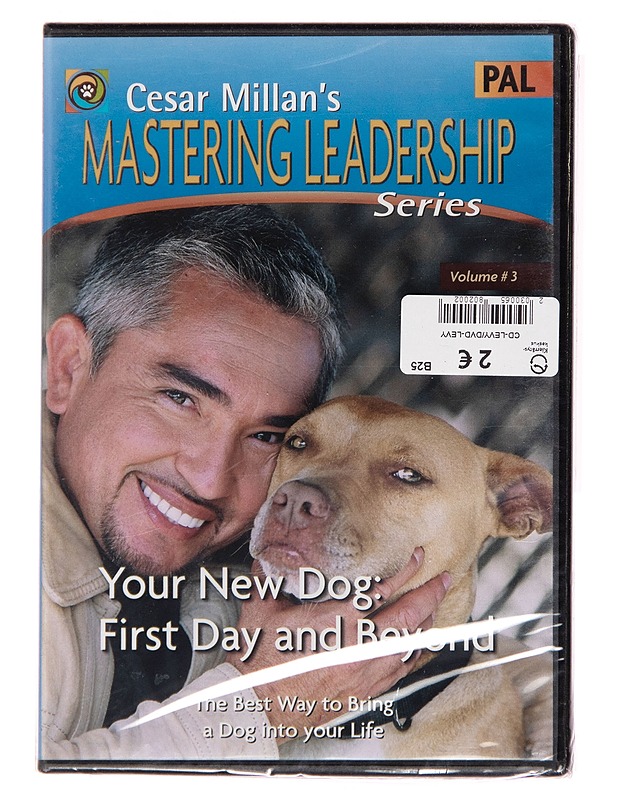 Cesar Millan=C2=B4s Mastering leadership: your new dog: first day and =
beyond volume 3 - DVD - DVD-elokuvat - 10105176035 - 0