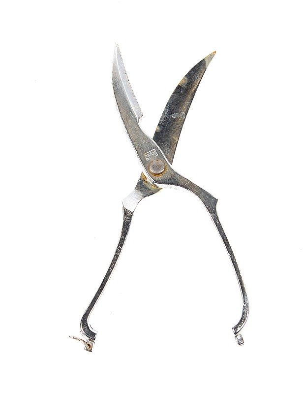 Siipikarjasakset, 25 cm - Muut urheiluvälineet ja vapaa-aika - 10105177295 - 1