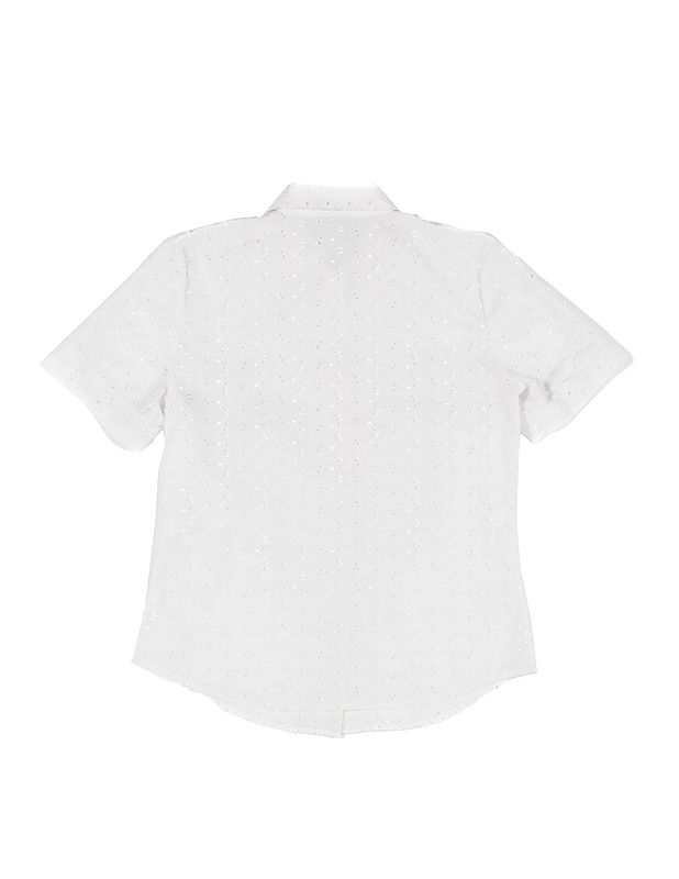 GOLDEN BRIDGE lyhythihainen kauluspaita, C 36 - The Most Wanted vaatteet ja asusteet - 10105179094 - 1