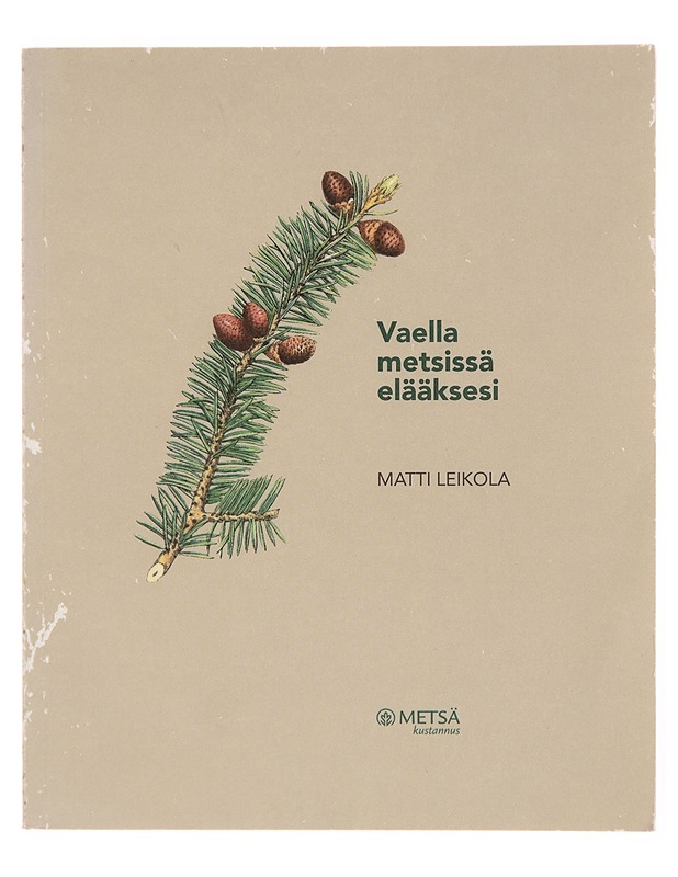 Matti Leikola - humaani metsänhoitomies - Juhani Päivänen - Harrastekirjat - 10105243767 - 0