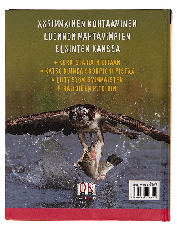Hurjat eläimet : 3-D - John Woodward - Lemmikki- ja luontokirjat - 10105243864 - 1
