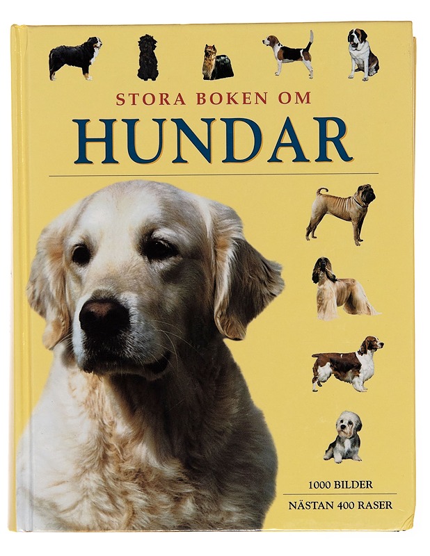 Stora boken om hundar - Juliette Cunliffe - Lemmikki- ja luontokirjat - 10105246128 - 0