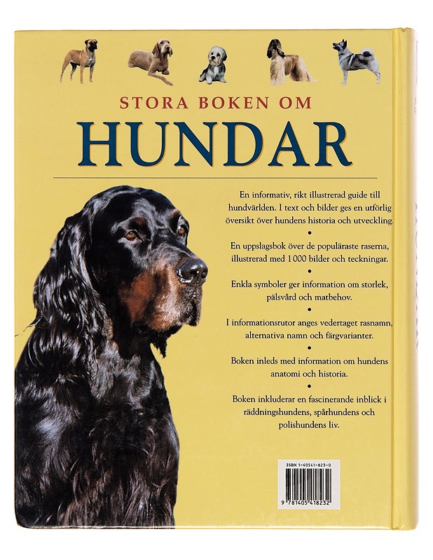 Stora boken om hundar - Juliette Cunliffe - Lemmikki- ja luontokirjat - 10105246128 - 1
