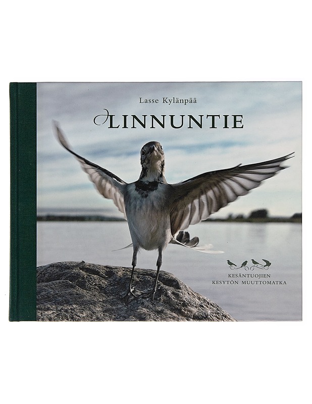 Linnuntie / kesäntuojien kesytön muuttomatka - Lasse Kylänpää - Harrastekirjat - 10105246274 - 0