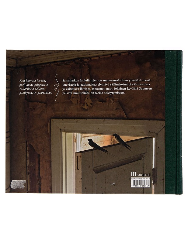 Linnuntie / kesäntuojien kesytön muuttomatka - Lasse Kylänpää - Harrastekirjat - 10105246274 - 1