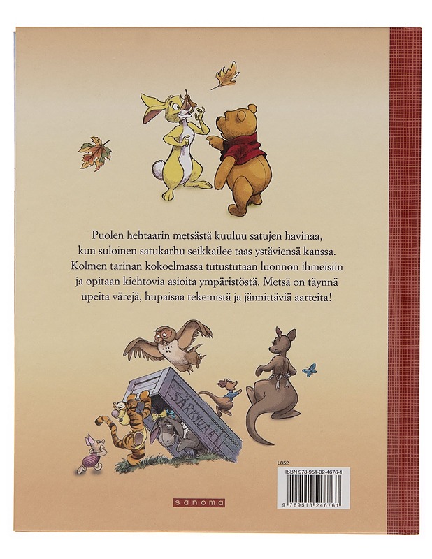 Satujen havinaa - K. Emily Hutta - Lastenkirjat - 10105250849 - 1