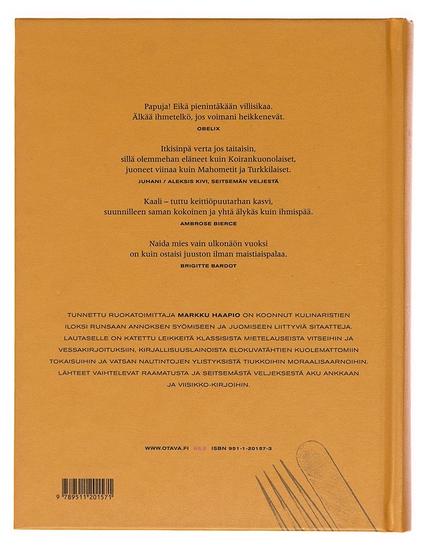 Leikelautanen - Markku Haapio - Kaunokirjallisuus - 10105252734 - 1