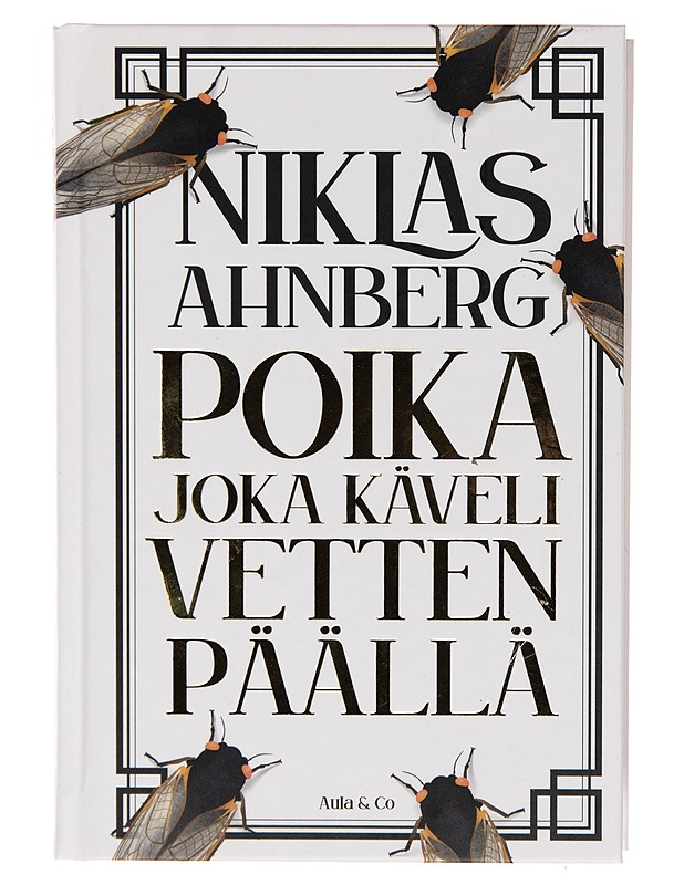 Poika joka käveli vetten päällä - Niklas Ahnberg - Fantasia- ja scifi - 10105254112 - 0