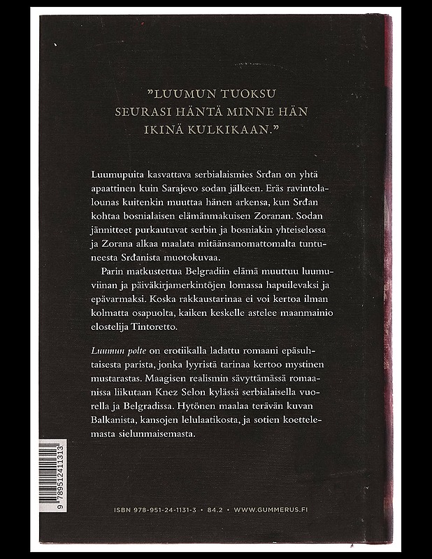 Luumun polte - Ville Hytönen - Romaanit ja novellit - 10105256230 - 1
