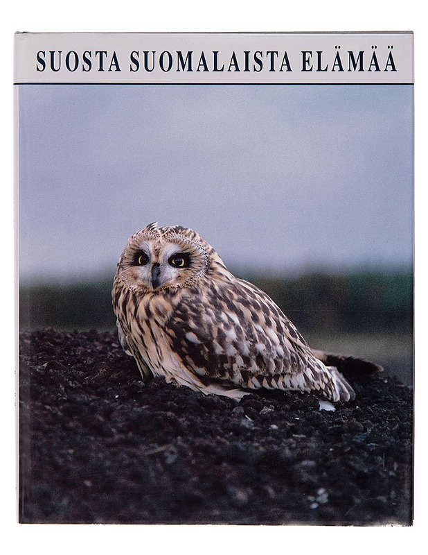 Suosta suomalaista elämää - Onerva Hintikka - Tietokirjat - 10105256546 - 0