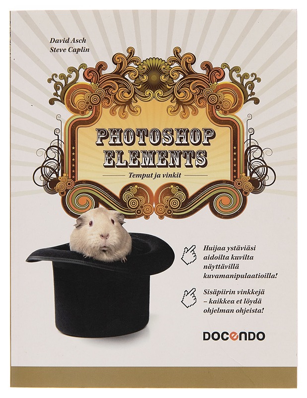 Photoshop Elements / temput ja vinkit - David Asch - Tietokirjat ja oppaat - 10105256983 - 0