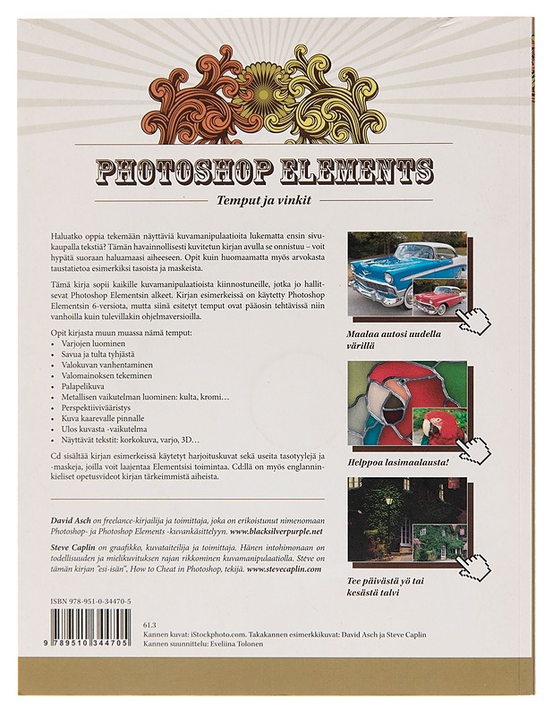 Photoshop Elements / temput ja vinkit - David Asch - Tietokirjat ja oppaat - 10105256983 - 1
