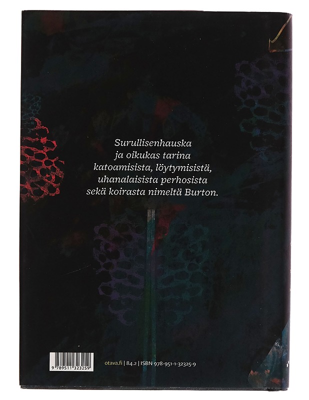 Perhoset veljeni ympärillä - Veera Salmi - Romaanit ja novellit - 10105257550 - 1