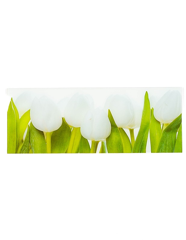 EUROGRAPHICS Deco Glass Tulip Parade taulu - Taulut ja julisteet - 10105257768 - 0