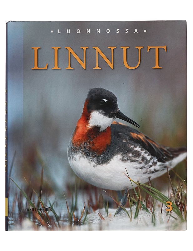 Luonnossa: linnut 2 - Harrastekirjat - 10105260837 - 0