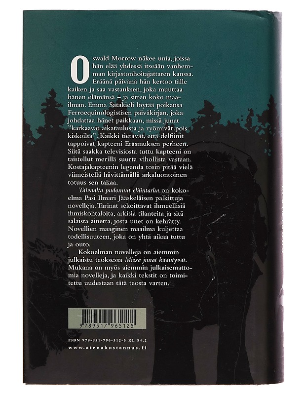Taivaalta pudonnut eläintarha : novelleja - Pasi Ilmari Jääskeläinen - Romaanit ja novellit - 10105261368 - 1