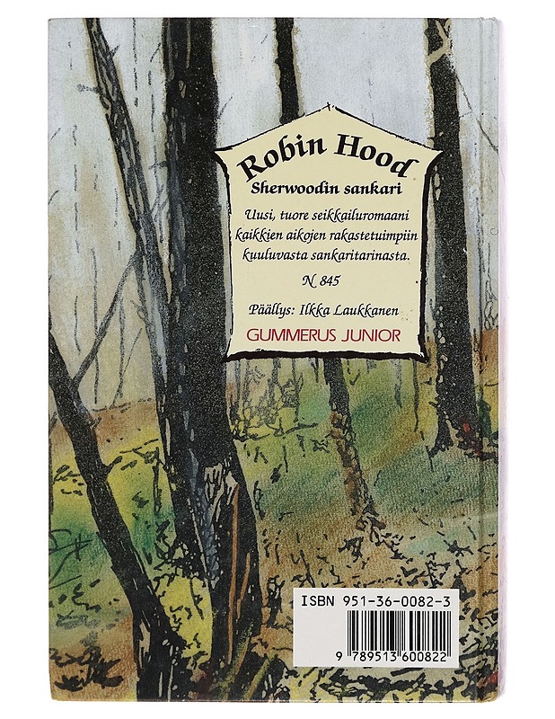 Robin Hood, Sherwoodin sankari - Robin McKinley - Nuorten kirjat - 10105263864 - 1