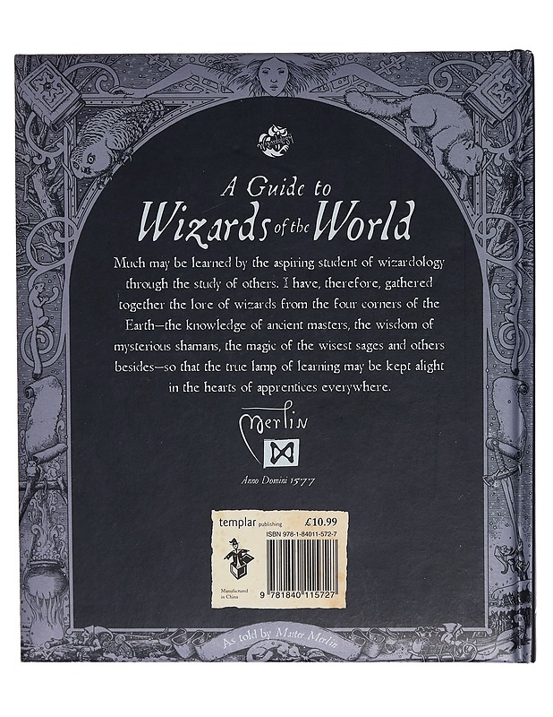 A guide to wizards of the world - Lastenkirjat - 10105265300 - 1