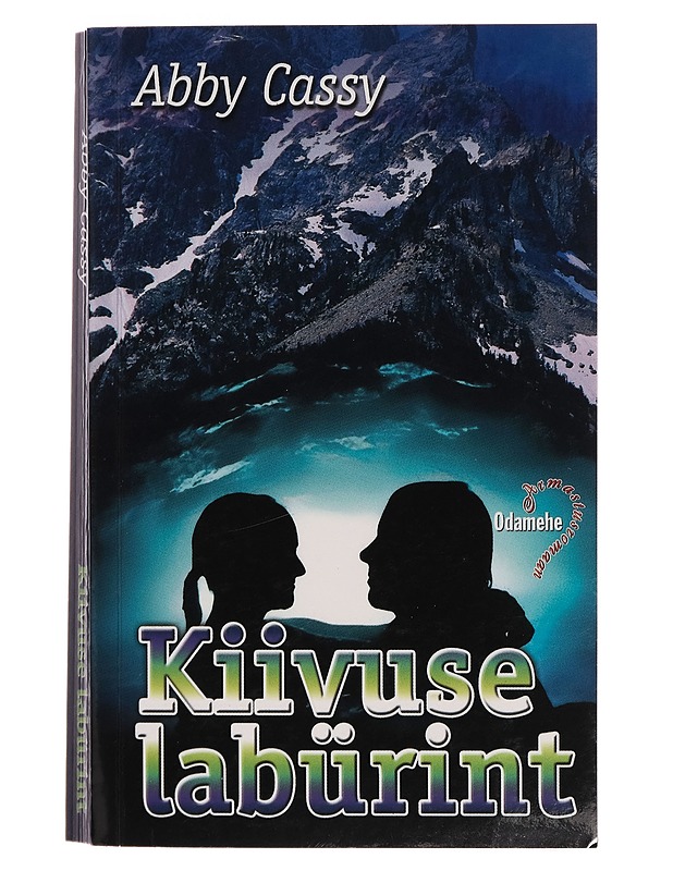 Kiivuse labürint - Abby Cassy - Romaanit ja novellit - 10105265888 - 0