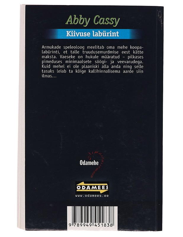 Kiivuse labürint - Abby Cassy - Romaanit ja novellit - 10105265888 - 1
