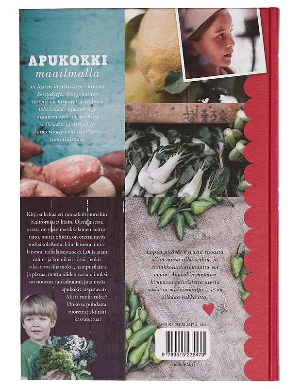 Apukokki maailmalla - Miikka Järvinen - Ruokakirjat - 10105269362 - 1