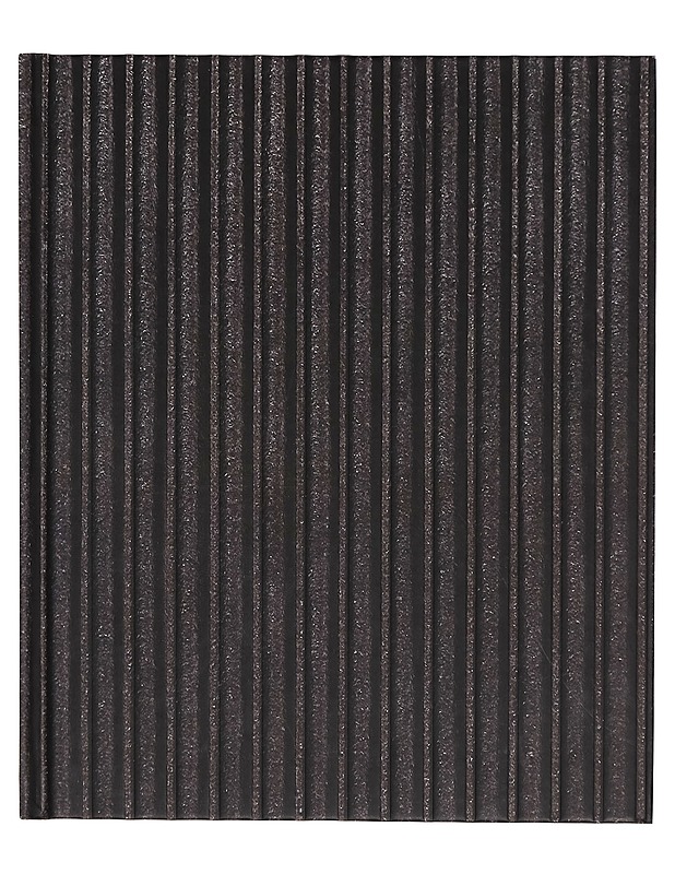 Suuri grillikirja - Rachael Lane - Ruokakirjat - 10105269368 - 0