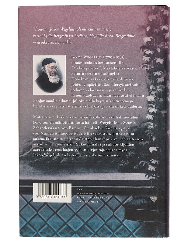Merkillinen isoisä ja muita kertomuksia Wegeliuksista ja Swaneista - Hellevi Arjava - Elämäkerrat ja muistelmat - 10105271008 - 1