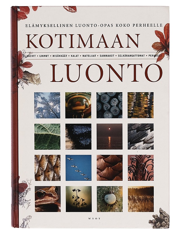 Kotimaan luonto - Tom Björklund - Lemmikki- ja luontokirjat - 10105273140 - 0