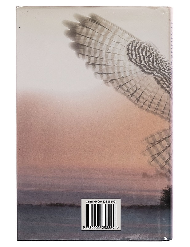 The snow falcon - Stuart Harrison - Romaanit ja novellit - 10105276989 - 1