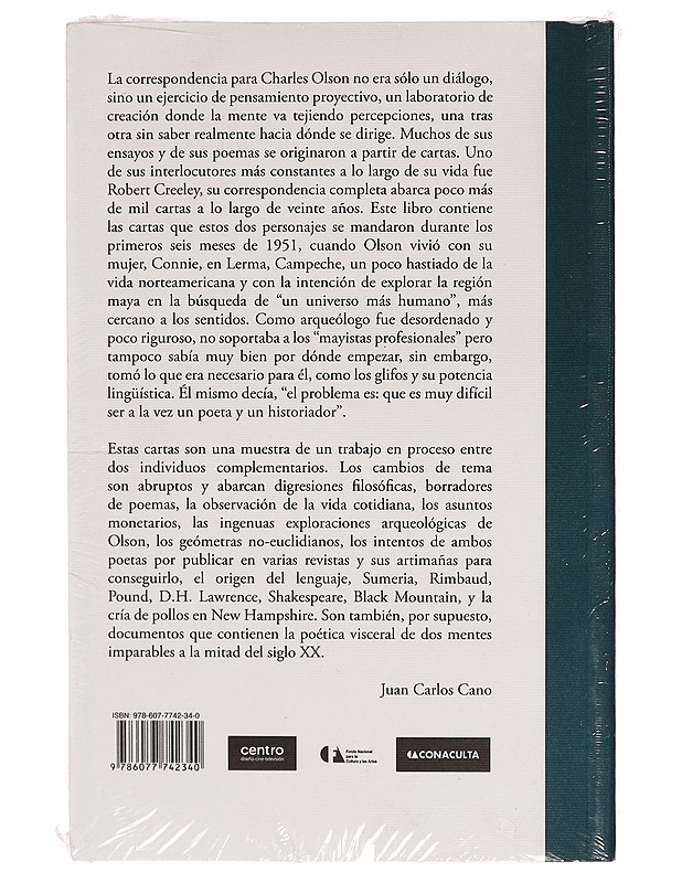 Cartas Mayas - Kaunokirjallisuus - 10105278004 - 1