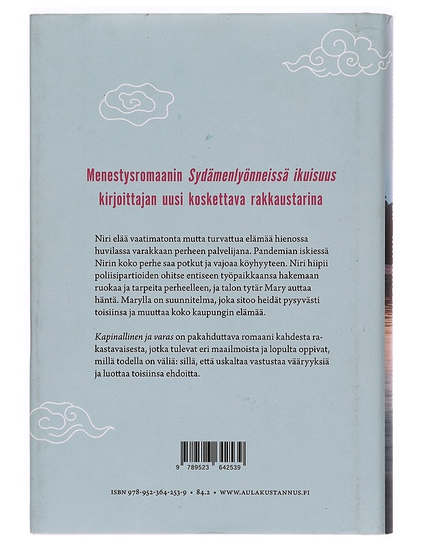 Kapinallinen ja varas - Jan-Philipp Sendker - Romaanit ja novellit - 10105278468 - 1
