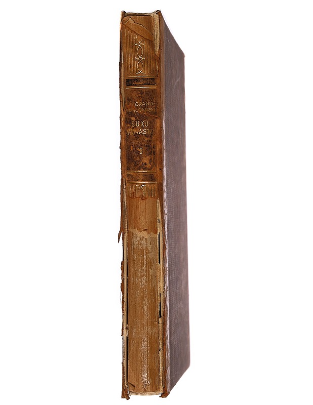 Sukukuvasto - E. Granit-Ilmoniemi - Historiakirjat - 10105285052 - 1