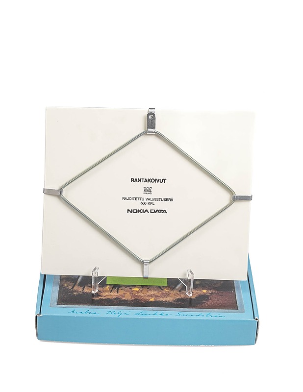 ARABIA Rantakoivut keramiikkataulu - Designsuosikit - 10105290065 - 1