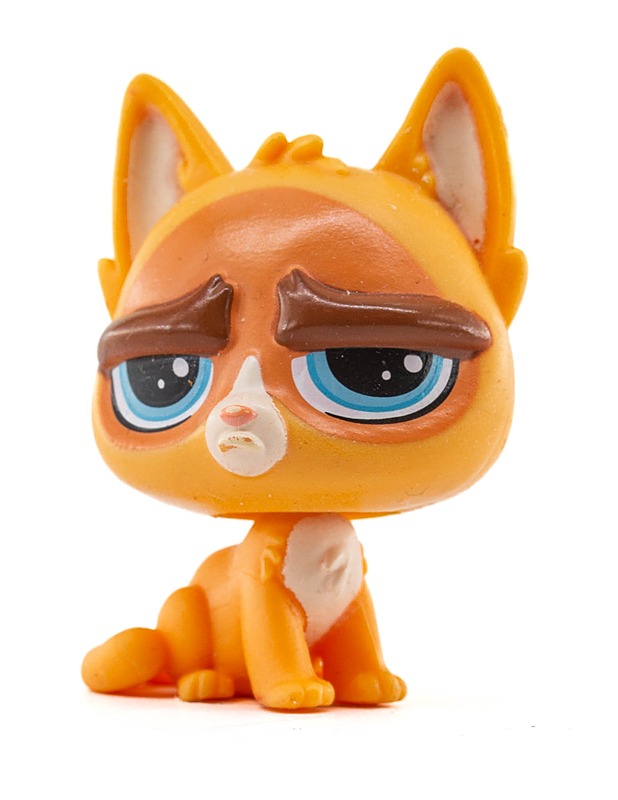 LITTLEST PET SHOP Sulky McWhiskers kissa figuuri - Lasten lelut - 10105290729 - 0