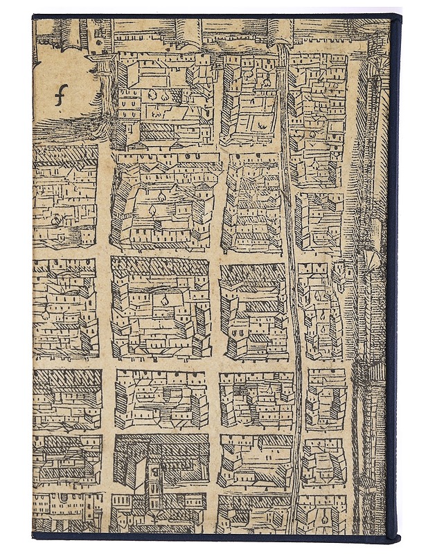 Boccaccio visualizzato : narrare per parole e per immagini fra Medioevo e Rinascimento - Vittore Branca - Tietokirjat ja oppaat - 10105290815 - 0