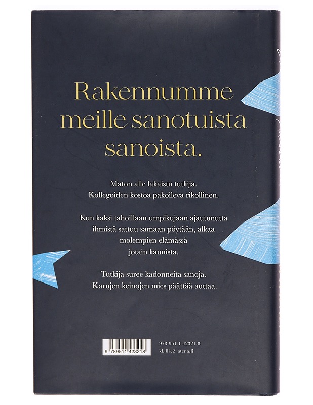 Taivaankalat - Anna Idström - Romaanit ja novellit - 10105292585 - 1