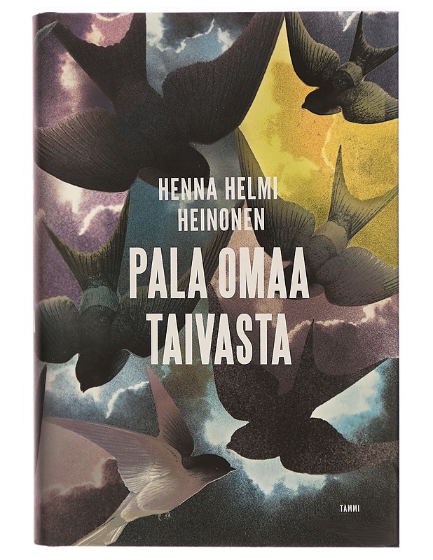 Pala omaa taivasta - Henna Helmi Heinonen - Romaanit ja novellit - 10105292626 - 0