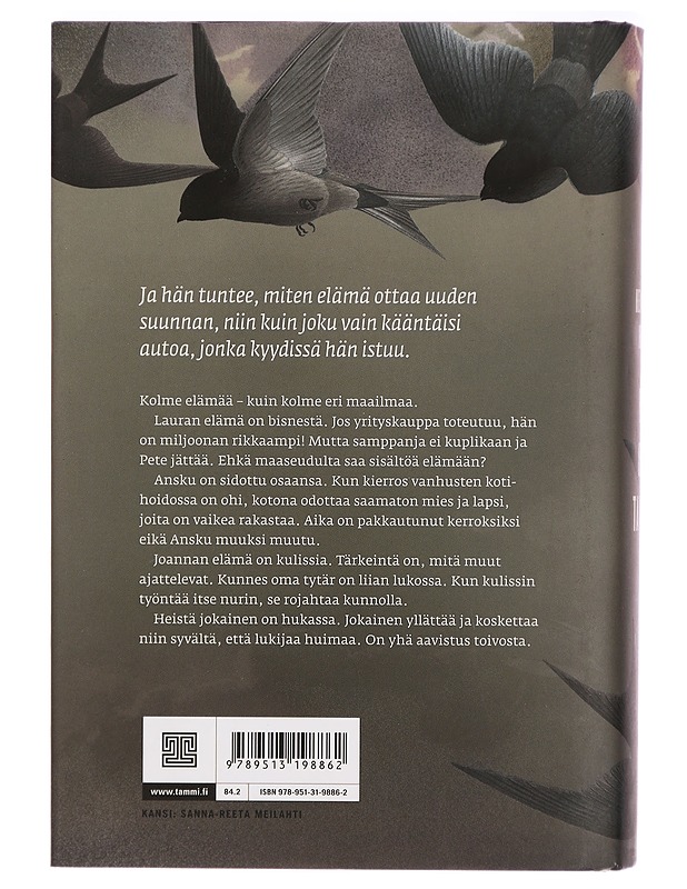 Pala omaa taivasta - Henna Helmi Heinonen - Romaanit ja novellit - 10105292626 - 1