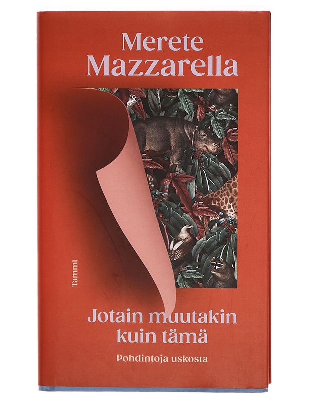 Jotain muutakin kuin tämä : pohdintoja uskosta - Merete Mazzarella - Elämäkerrat ja muistelmat - 10105293859 - 0
