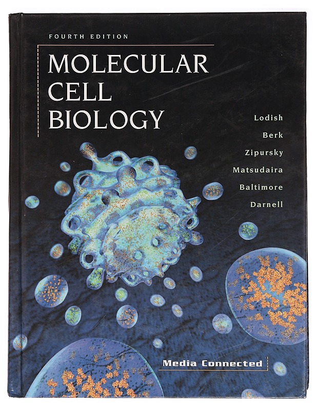 Molecular cell biology - Lodish, Harvey - Tietokirjat ja oppaat - 10105296412 - 0