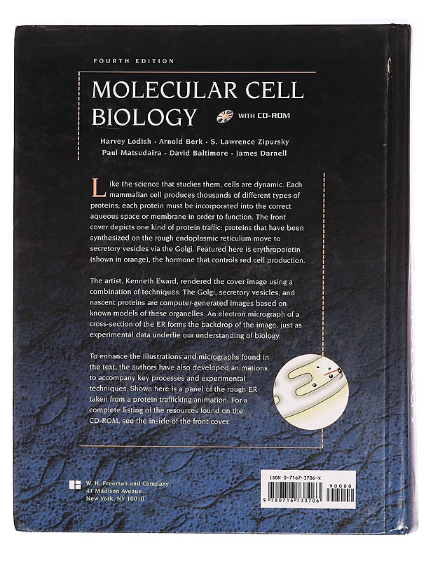 Molecular cell biology - Lodish, Harvey - Tietokirjat ja oppaat - 10105296412 - 1