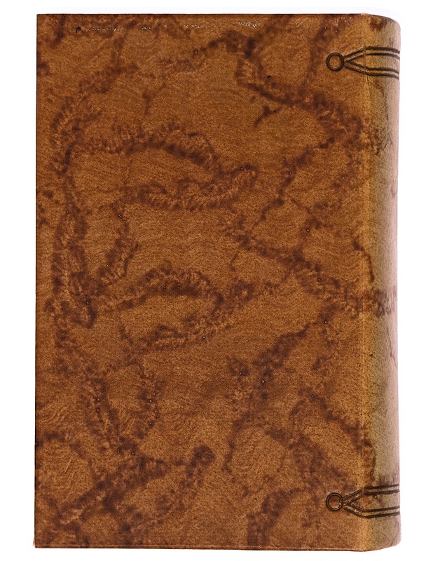 Odysseus - James Joyce - Romaanit ja novellit - 10105296511 - 1