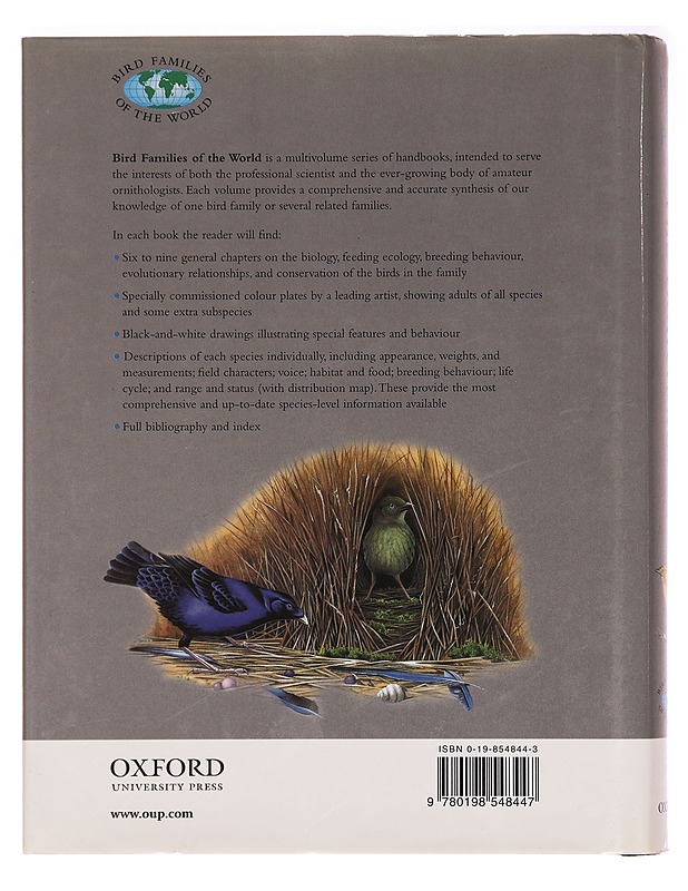 The Bowerbirds - Clifford B. Frith ja Dawn W. Frith - Tietokirjat ja oppaat - 10105297604 - 1