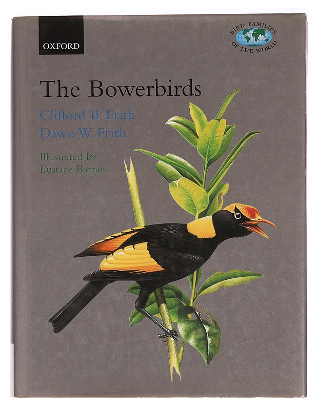 The Bowerbirds - Clifford B. Frith ja Dawn W. Frith - Tietokirjat ja oppaat - 10105297604 - 0