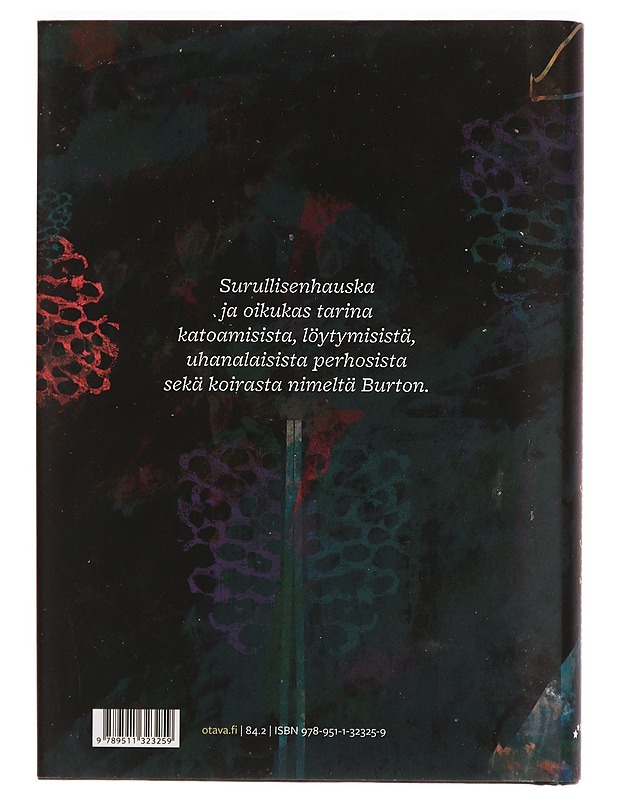 Perhoset veljeni ympärillä - Veera Salmi - Romaanit ja novellit - 10105299190 - 1