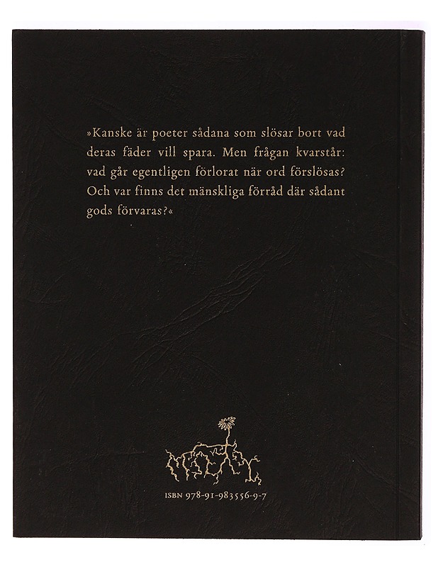 Det oförlorades ekonomi - Anne Carson - Tietokirjat ja oppaat - 10105299239 - 1