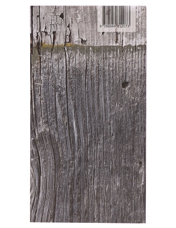 Aeg. valik luulet - Jidi Majia - Kaunokirjallisuus - 10105302043 - 1