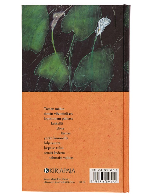 Teen matkaa lähelle, kauas - Maaria Leinonen - Romaanit ja novellit - 10105304927 - 1