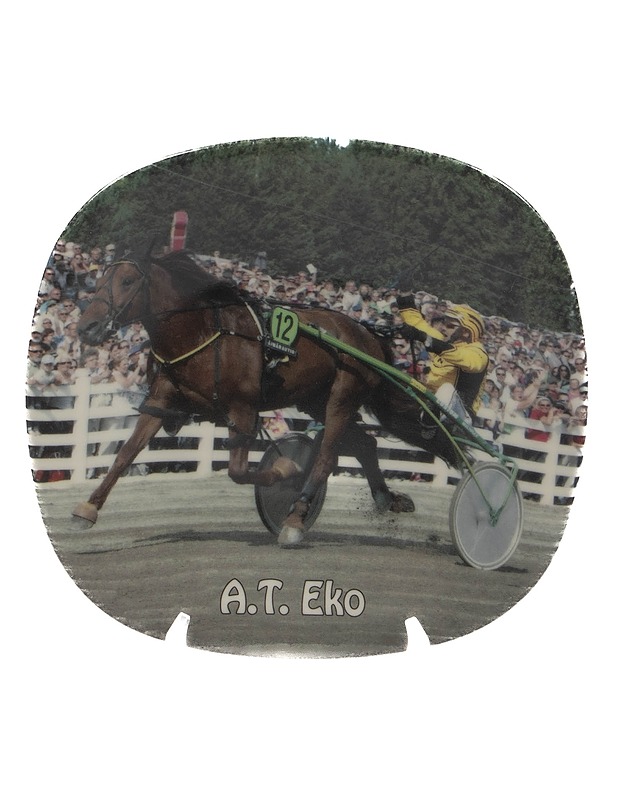 A.T.Eko 2010, seinälautanen - Seinälautaset - 10105306452 - 0
